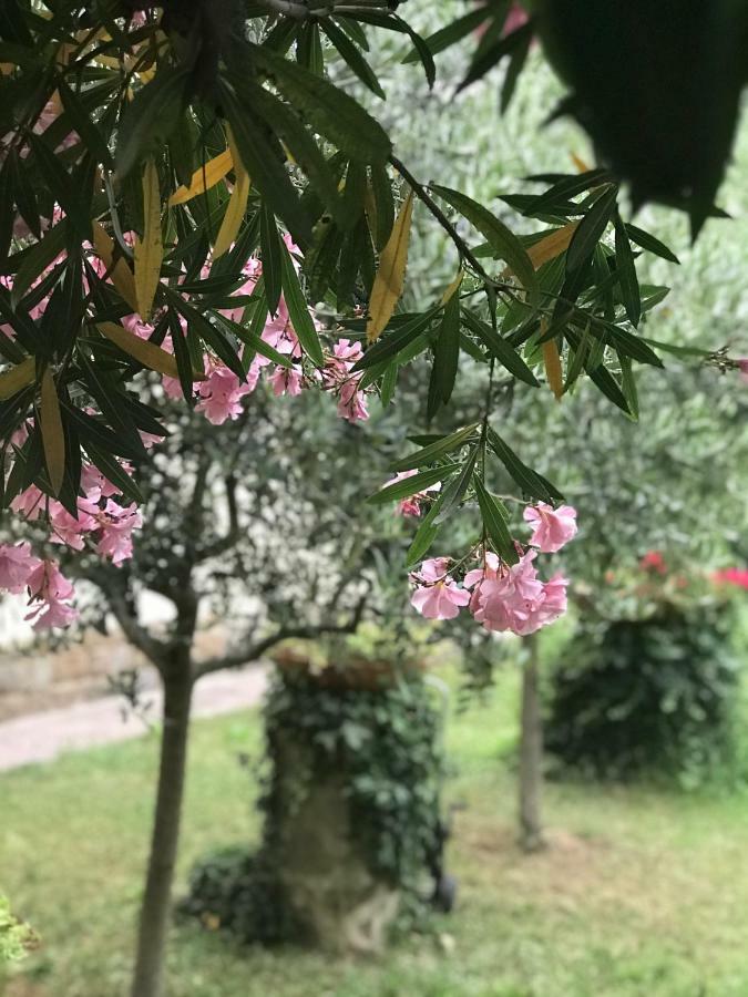 La Casa Di Claudia Villa ฟลอเรนซ์ ภายนอก รูปภาพ