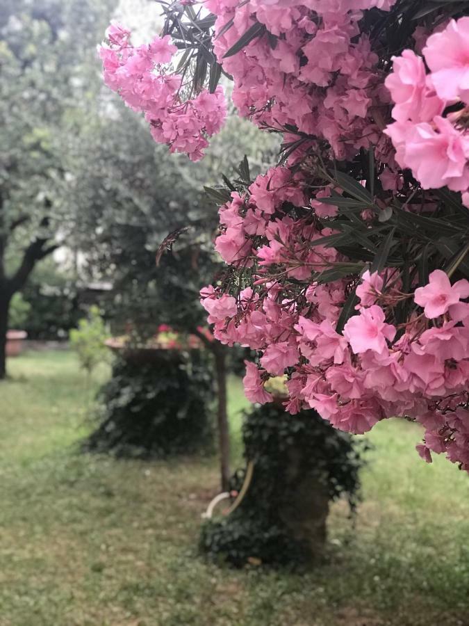 La Casa Di Claudia Villa ฟลอเรนซ์ ภายนอก รูปภาพ